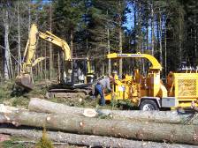 Site preparation picture showing tree clearing and chipping.
